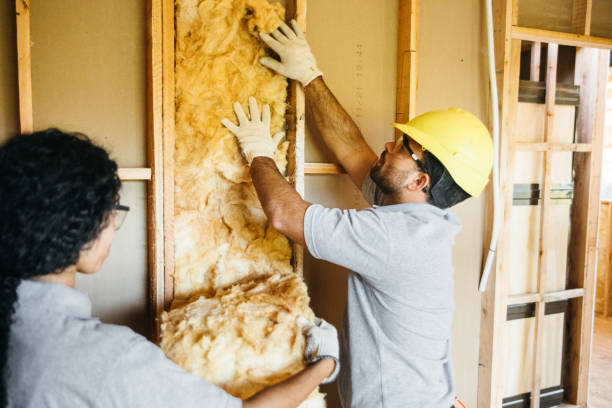 Attic Insulation Near Me in Valdez, AK