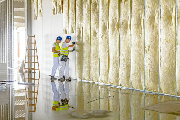 Professional Insulation Contractor in Valdez, AK